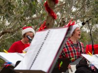 Carols And Nativity 16