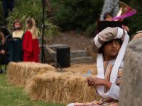 Carols And Nativity 53