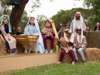 Carols And Nativity 55