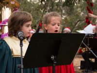 Carols And Nativity 56