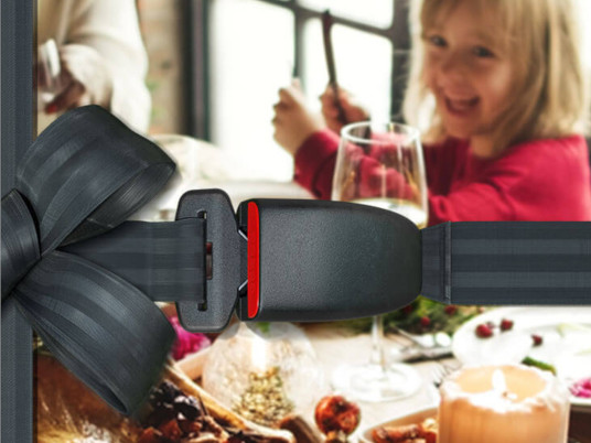 Girl sitting at a dinner table with seatbelt graphic overlay