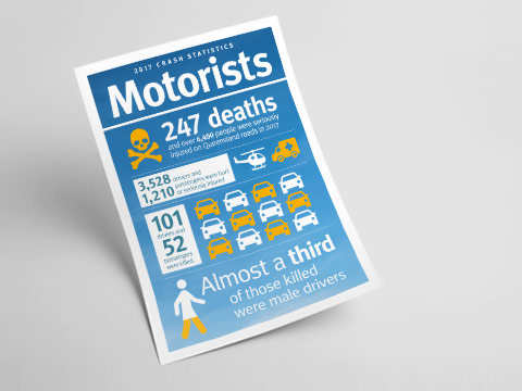 Motorist Infographic