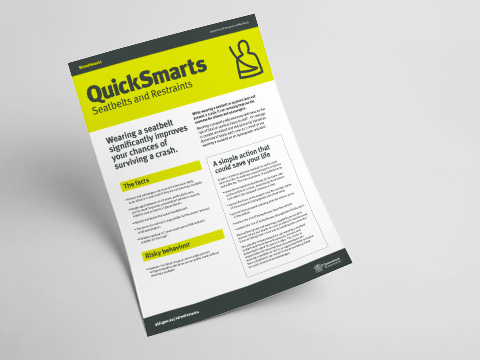 Seatbelts and restraints - A4 fact sheet