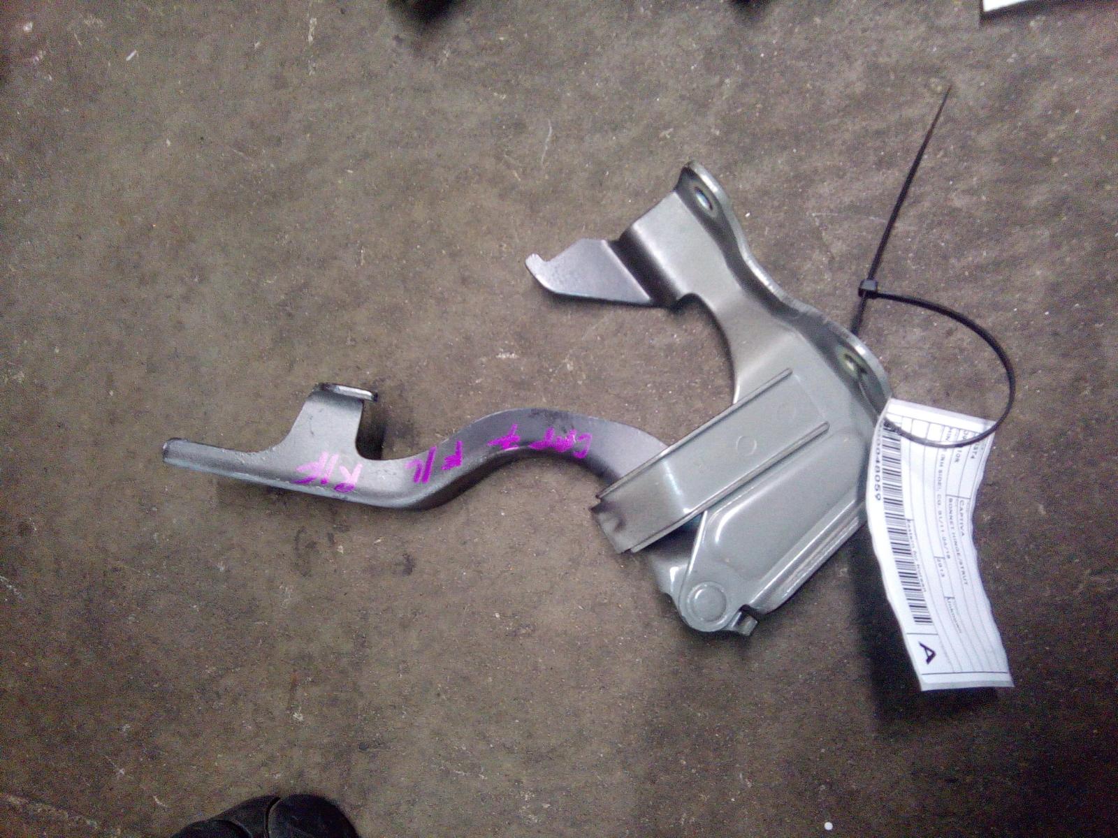 View Auto part Bonnet Hinge/Strut Holden Captiva 2013