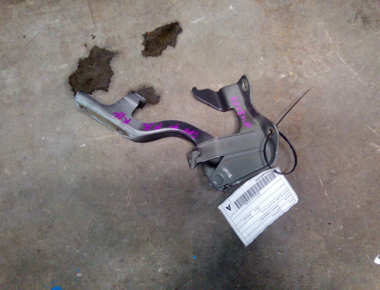 View Auto part Bonnet Hinge/Strut Holden Captiva 2013