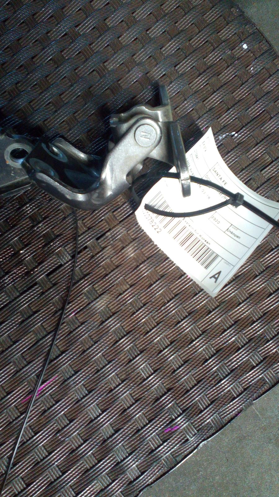 View Auto part Door Hinge/Runner Hyundai Santa Fe 2020