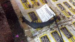 View Auto part R/Bar Bracket/Reinfo Hyundai Elantra 2014