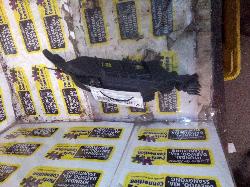 View Auto part F/Bar Reinforc/Brack Hyundai Santa Fe 2019