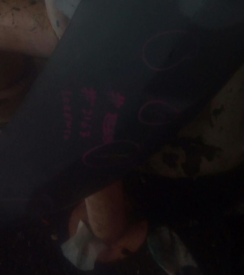 View Auto part Front Bumper Kia Sorento 2016