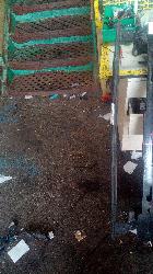 View Auto part F/Bar Reinforc/Brack Kia Sorento 2016