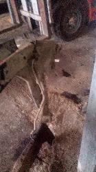 View Auto part Frt Xmember/Cradle Kia Rio 2007