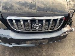 View Auto part Left Taillight Hyundai Terracan 2004