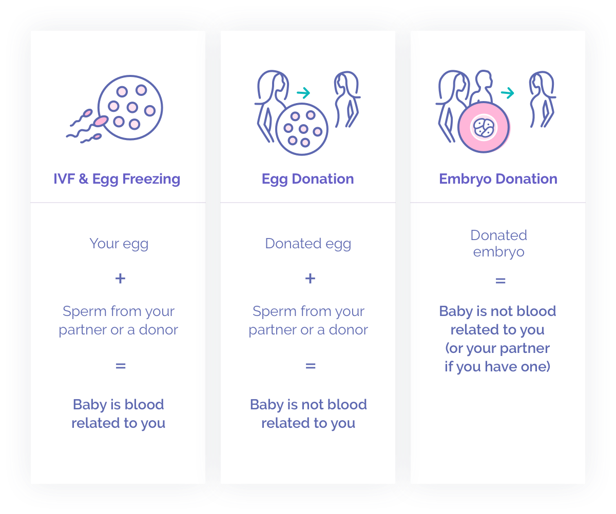 10C Egg And Embryo Donation Update 12 11 09