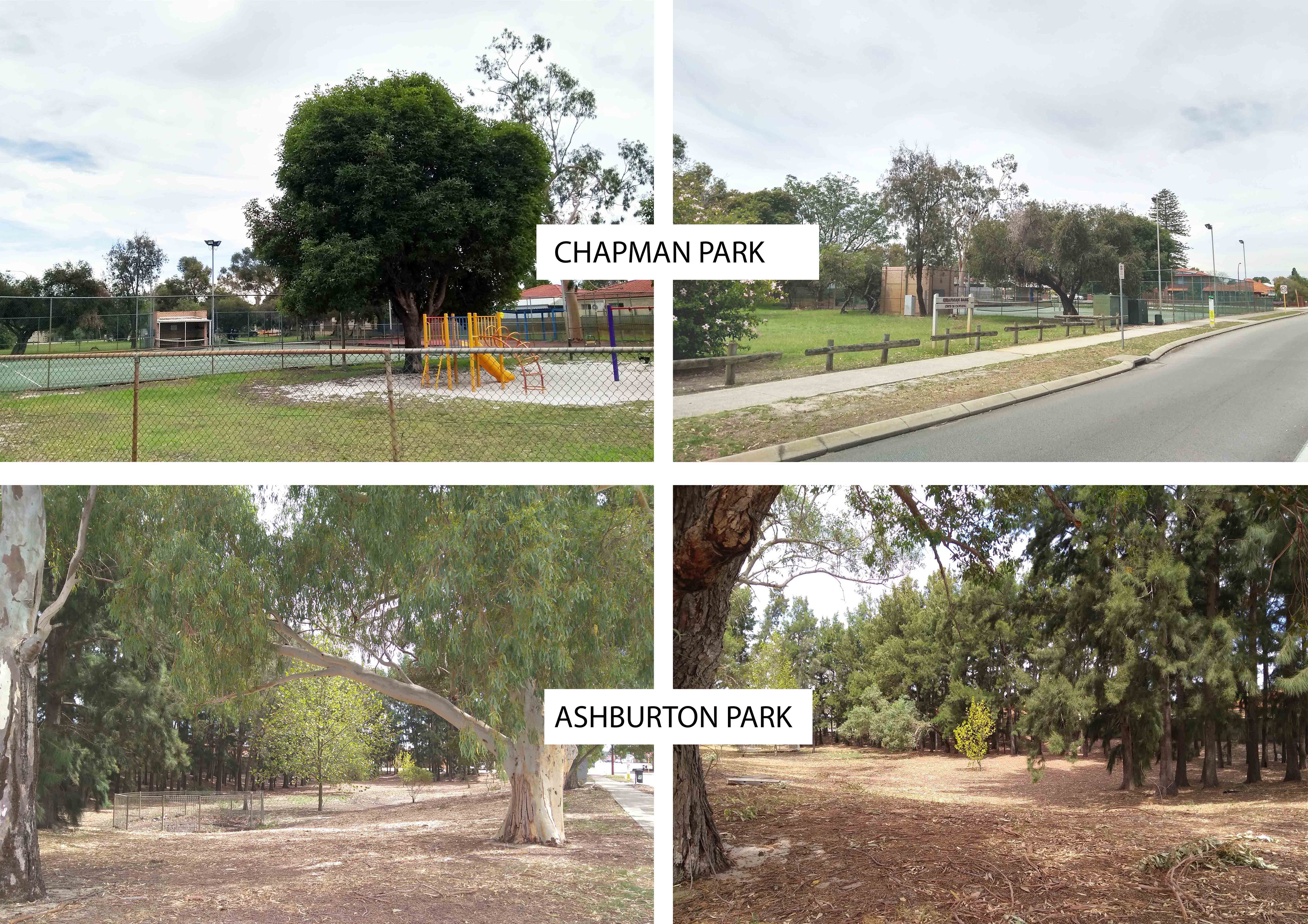 Redevelopment of Chapman Park and Ashburton Park Your Say Canning