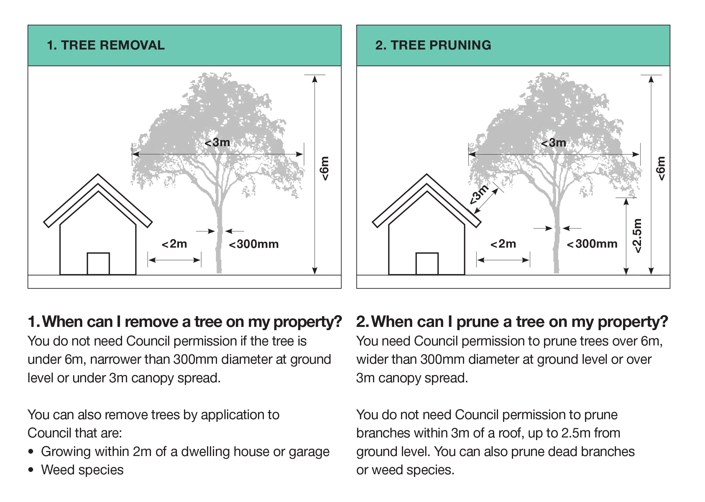 Tree Management DCP draft Your Say Inner West