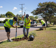 Community tree planting events
