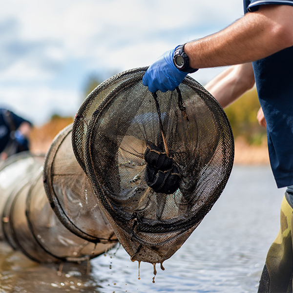 Image of someone with a fishing net