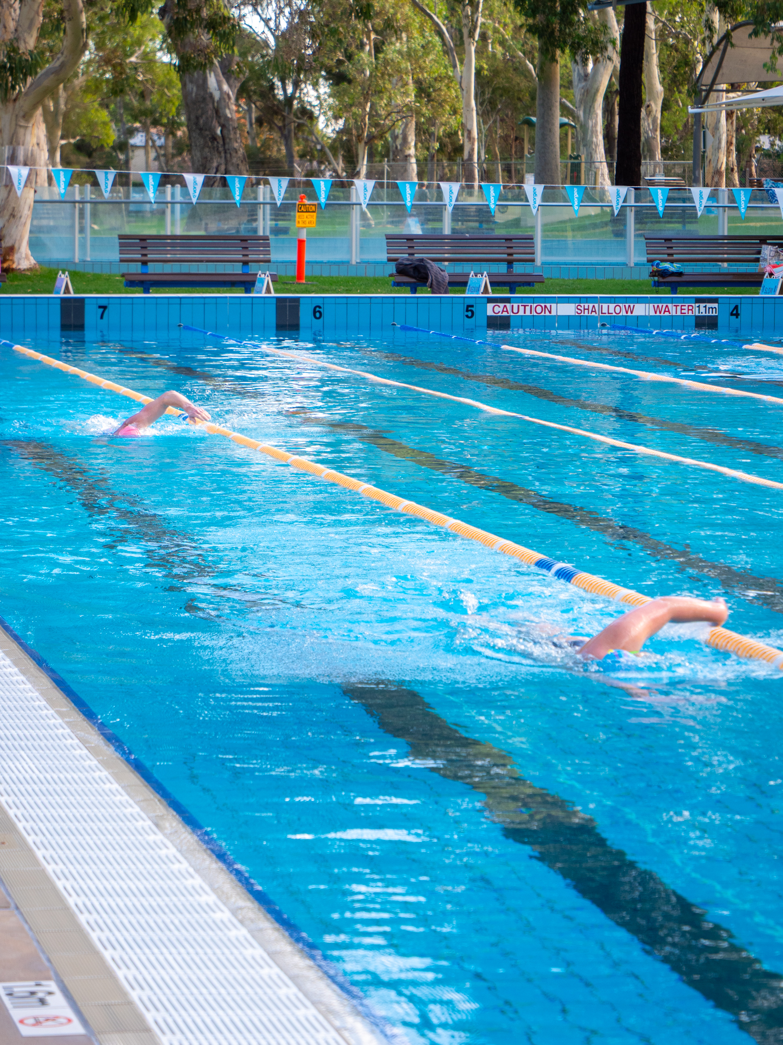 George Bolton Swimming Centre – Open for Winter | FOCUS On Burnside ...