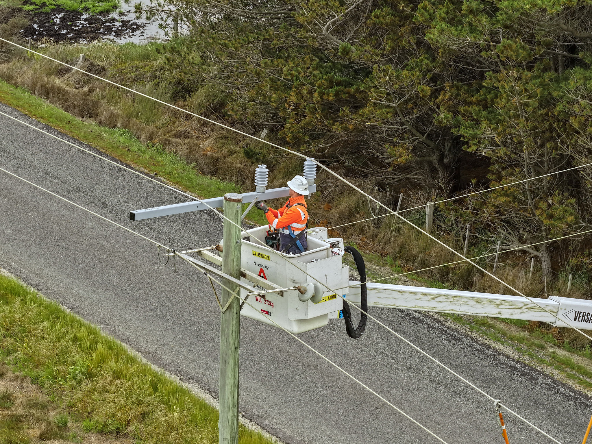 supporting image