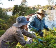 Creek Catchment program