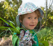 Community gardening guide