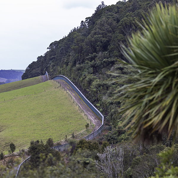 Image of a fence with planting on the inner side
