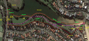 Manly lagoon landscape plan