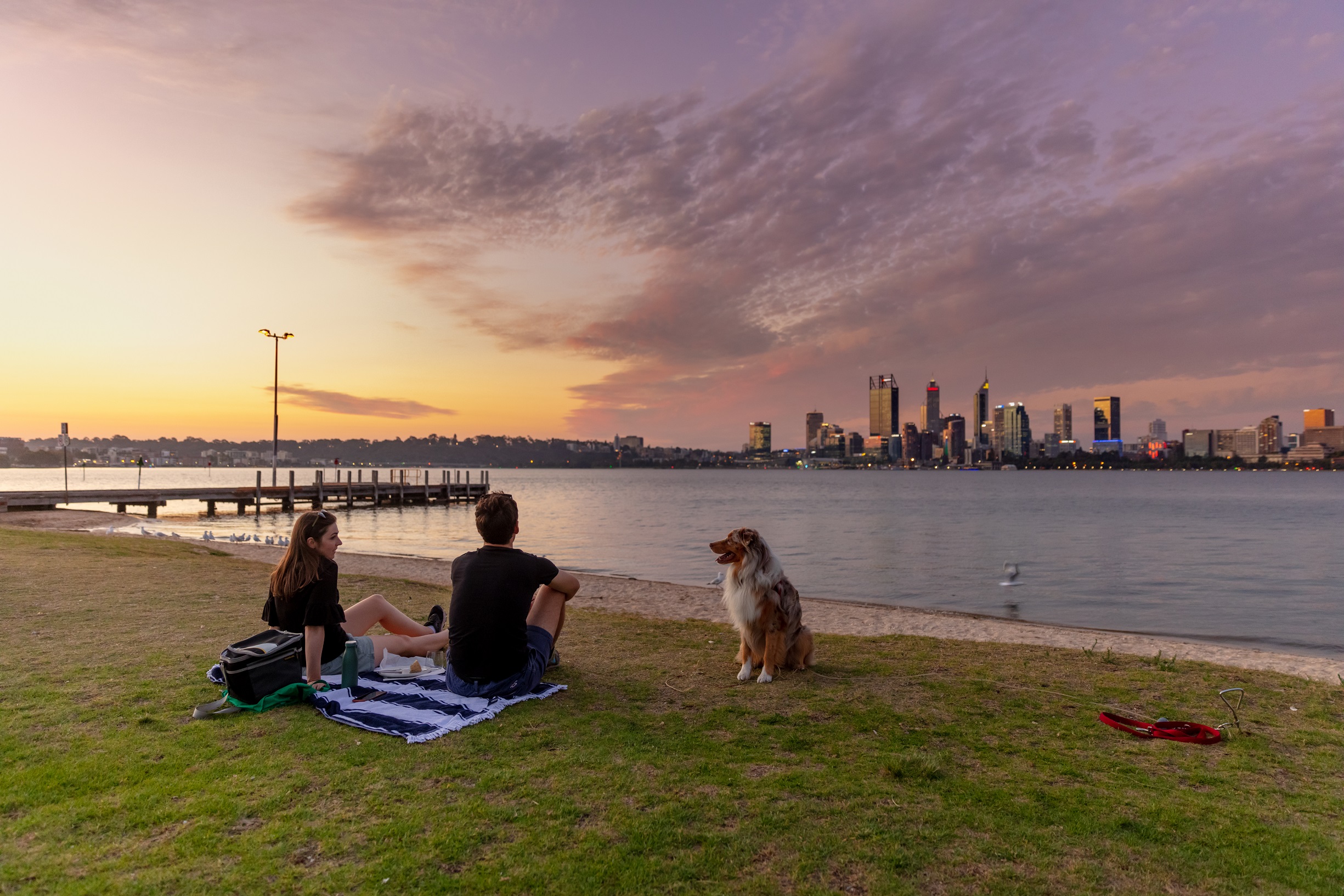 Public Health Plan Your Say South Perth