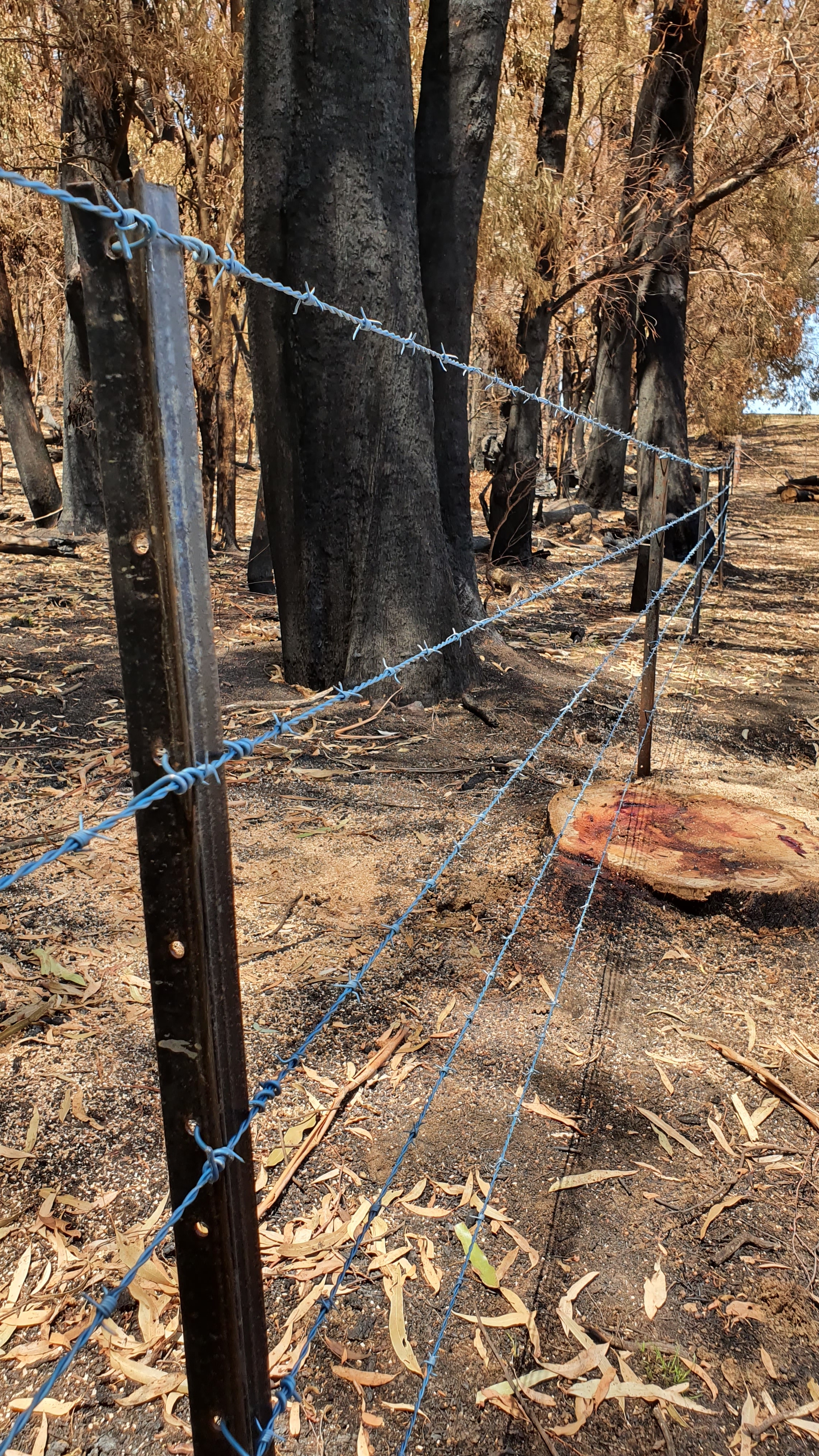 20200206 blazeaid adelong new fence