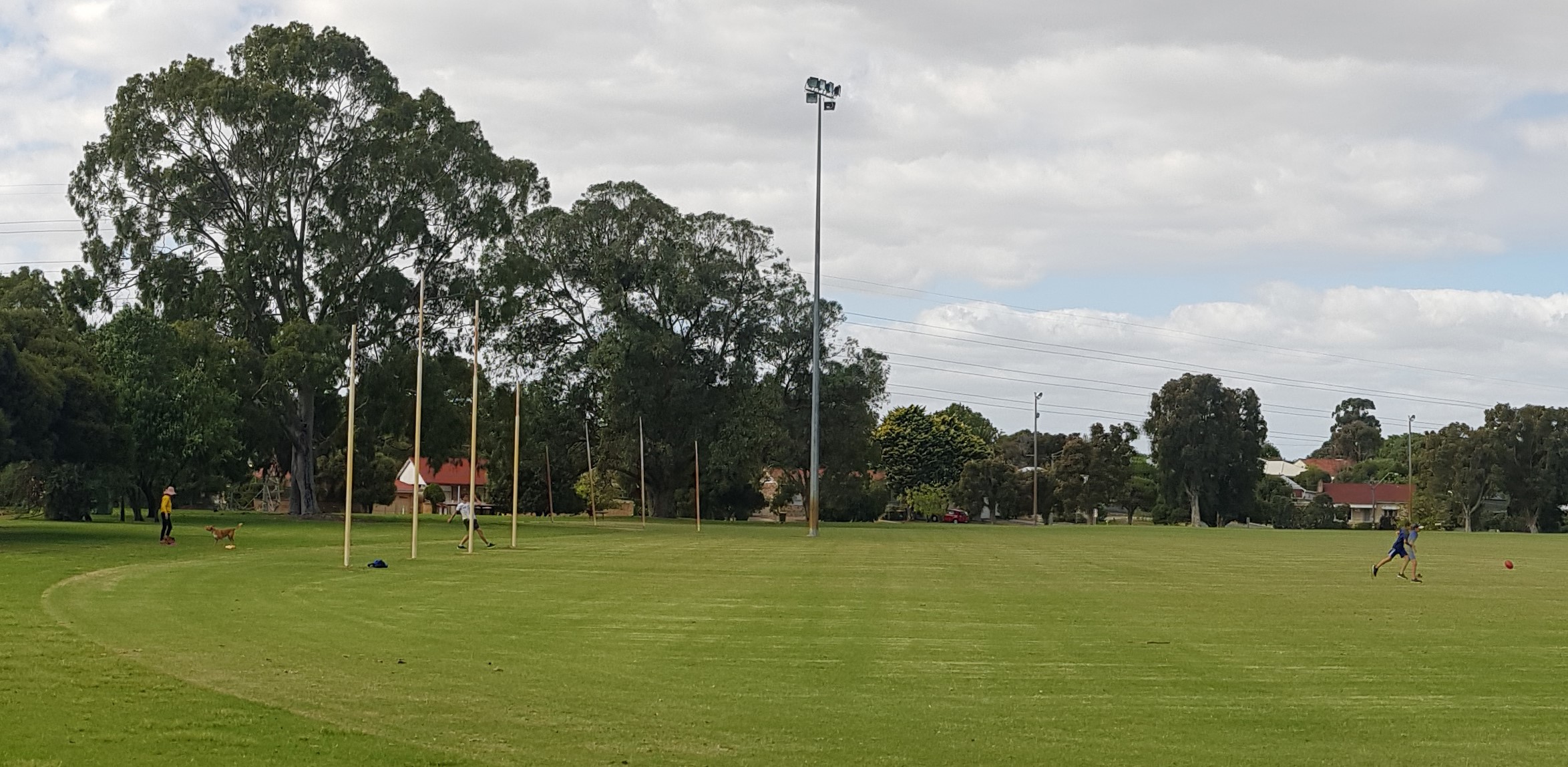 Community dive into one Higgins Park and Playfield Reserve