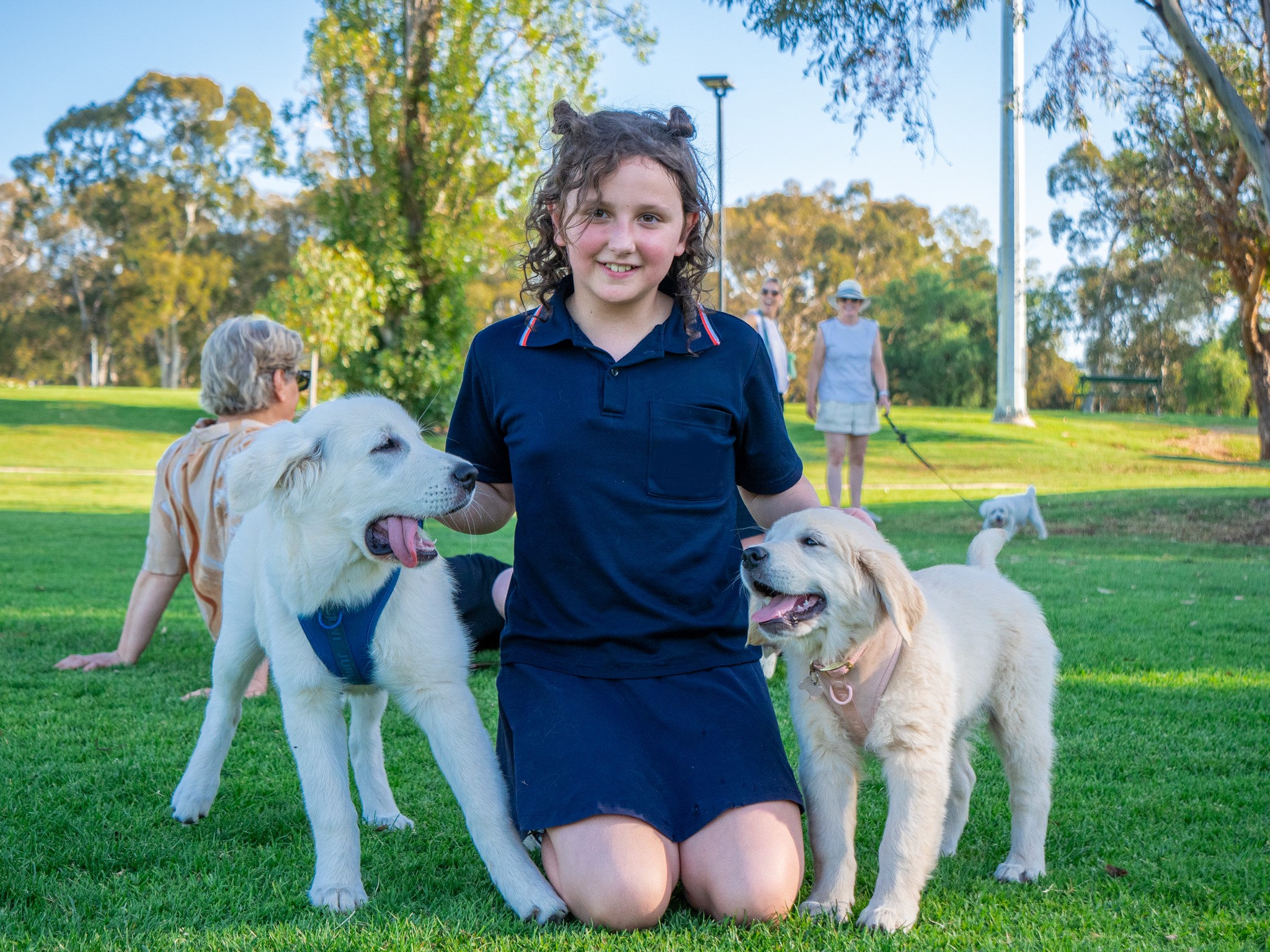 Community dog group call KGR home FOCUS On Burnside the news hub