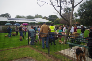 Carrington park opening