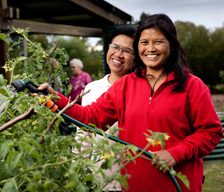 Community gardens and farms