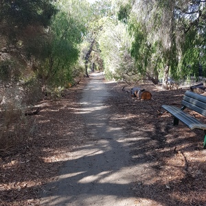 Existing path to upgrade 2