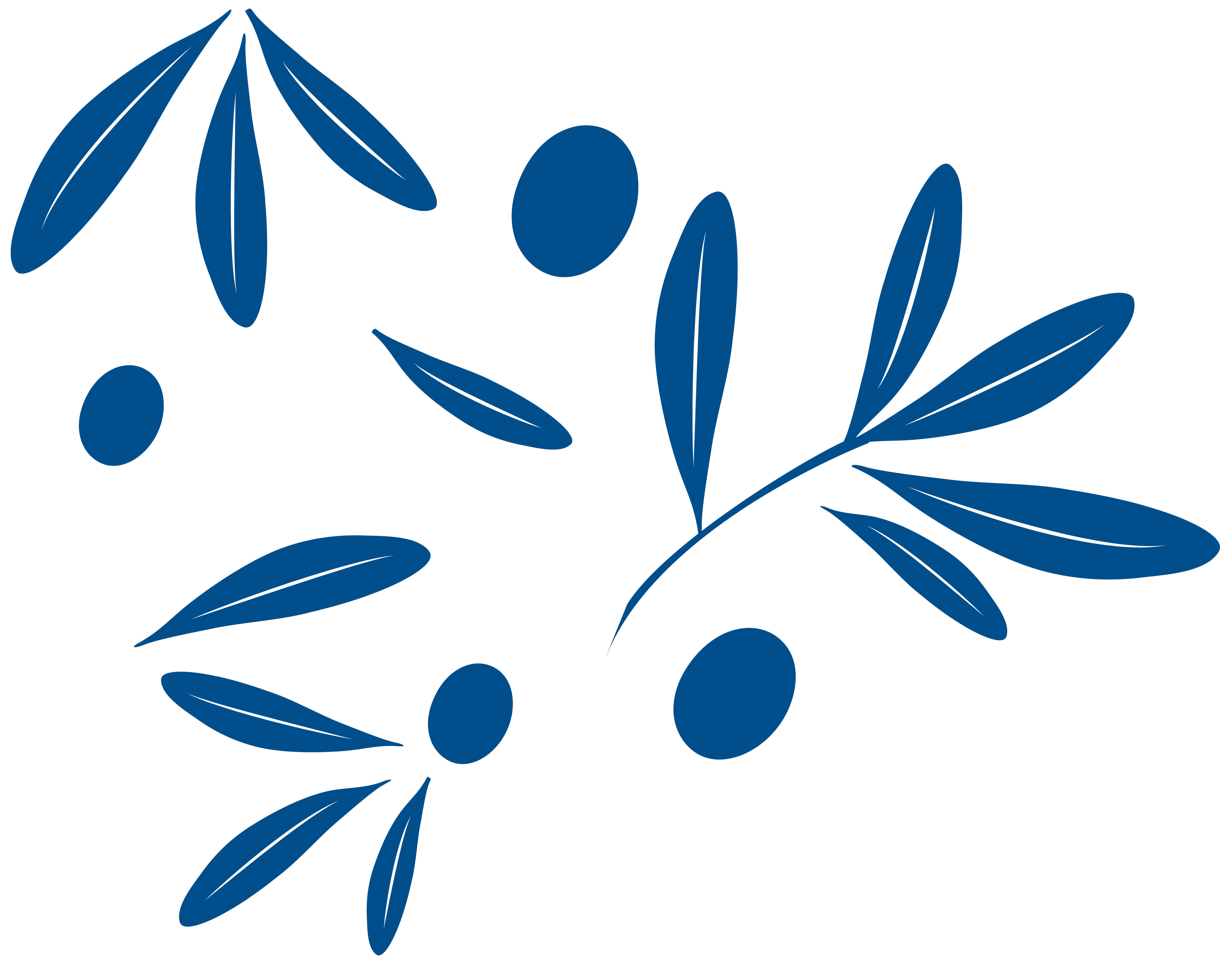 Team member, City of Subiaco