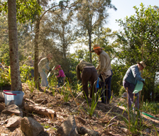 Habitat Brisbane program