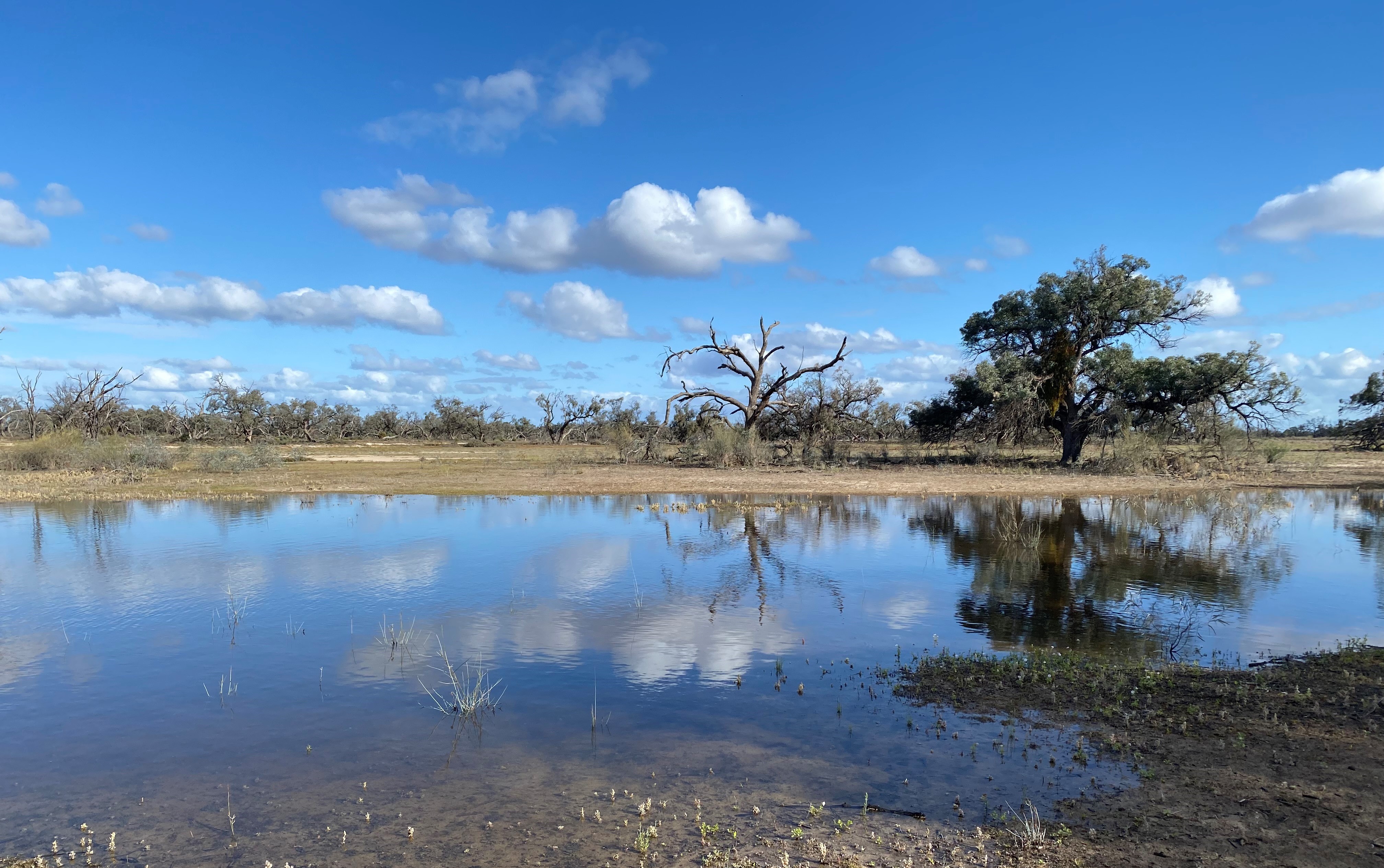 Team member, SA Constraints Measures team