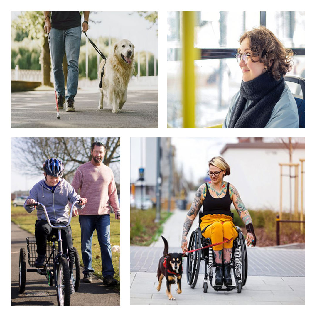 Banner with person in denim jeans using a cane walking a golden retriever dog, person with curly hair with glasses wearing a navy scarf and blue shirt siting on the bus looking out the window, person in manual wheelchair with blonde hair tied back, glasses, tattoo arms sleeves, wearing black singlet and yellow pants walking small black dog; and young person riding a trike on pathway with middle-aged adult walking a white dog next to.
