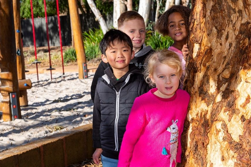 Ferndale Park Playground Upgrade Your Say Canning