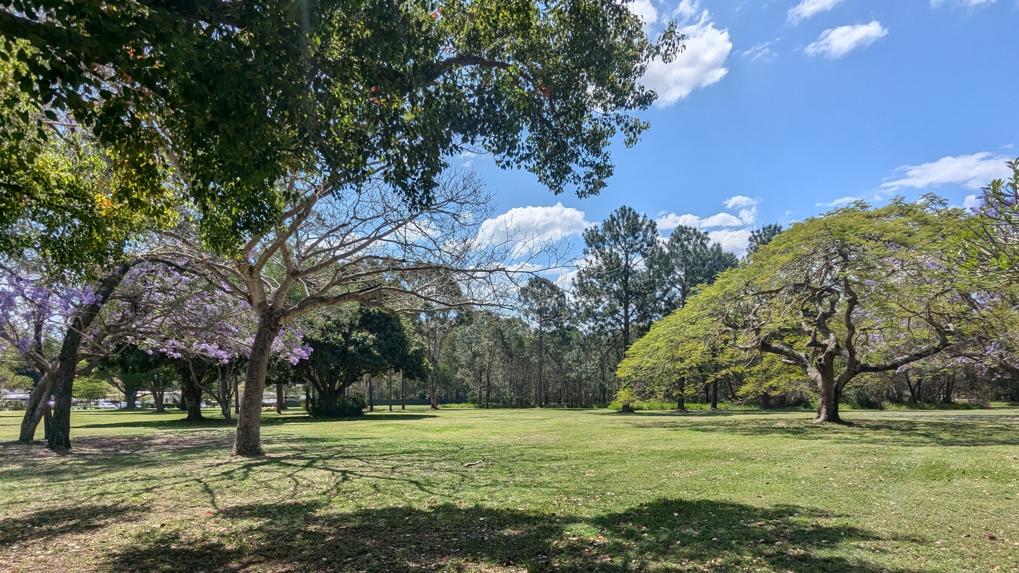 Ellen Grove District Park | Ellen Grove Parks precinct draft concept ...