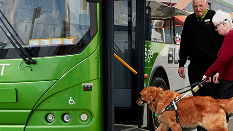 Hamilton City | Future bus services for the Waikato region | Your Voice ...