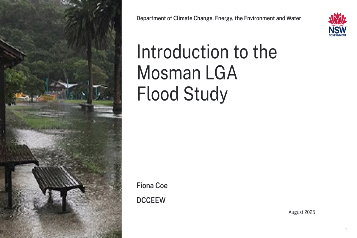 Explanation of the NSW Flood Risk Management Process