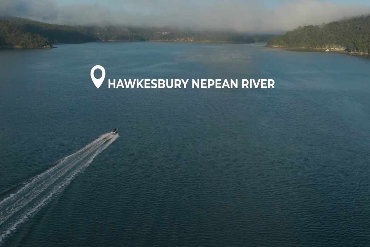 Learn more about the Hawkesbury Nepean Coastal Management Program