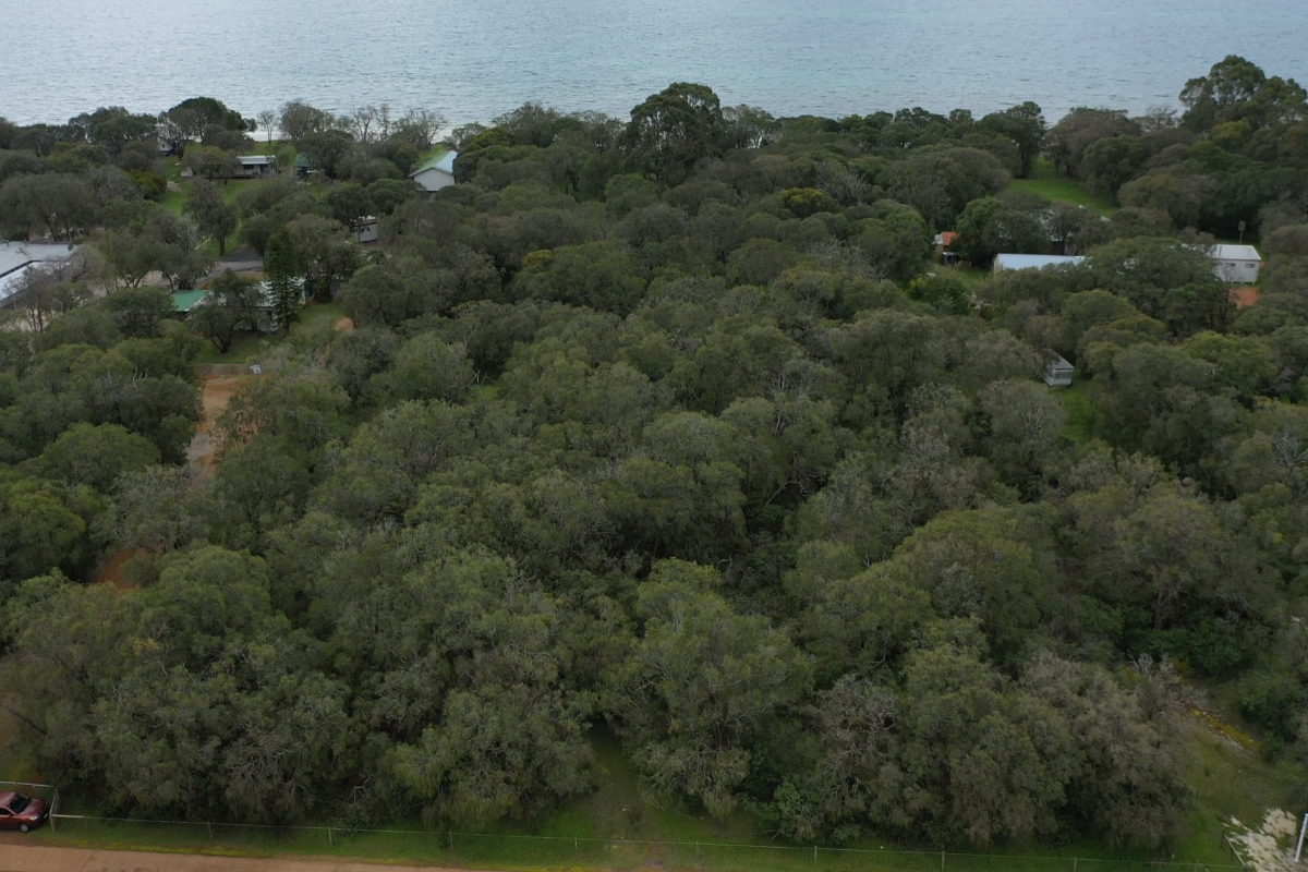 Locke Estate Site 7 Drone Footage