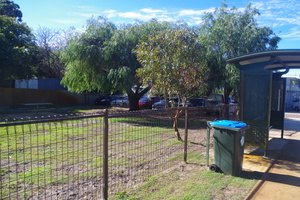 Asquith park near shopping centre
