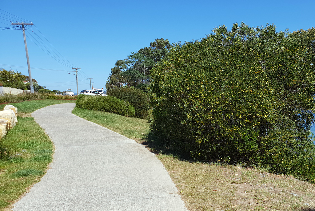 Bellerive's beautiful waterfront Victoria Esplanade and Kangaroo