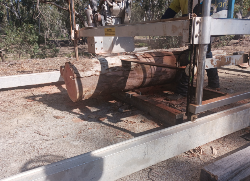 supporting image