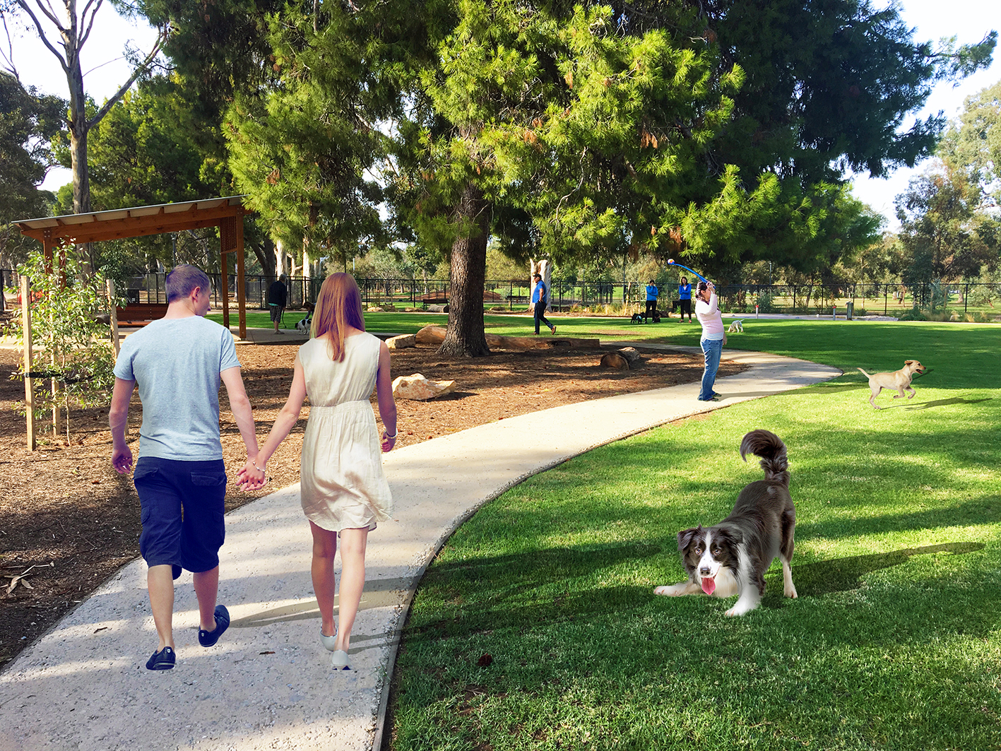 New Dog Park Making Marion