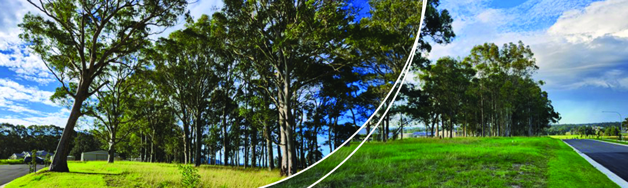 Badagarang green space - have your say on dog park | Badagarang Open ...