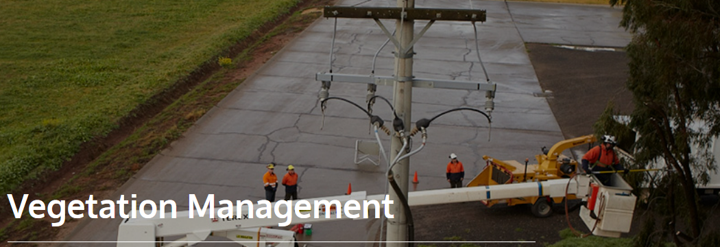 Bushfire mitigation projects | Essential Engagement